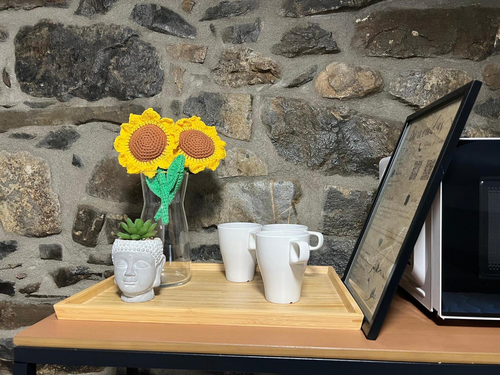 Casa Girasol Otel Biescas  Dış mekan fotoğraf